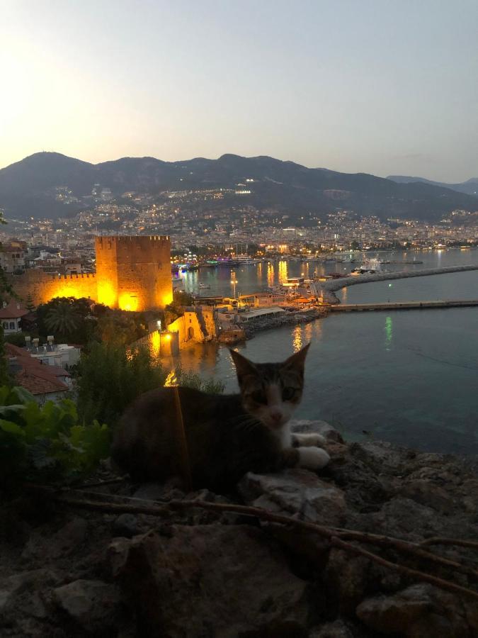 Harmony Butik Otel (Adults Only) Alanya Bagian luar foto